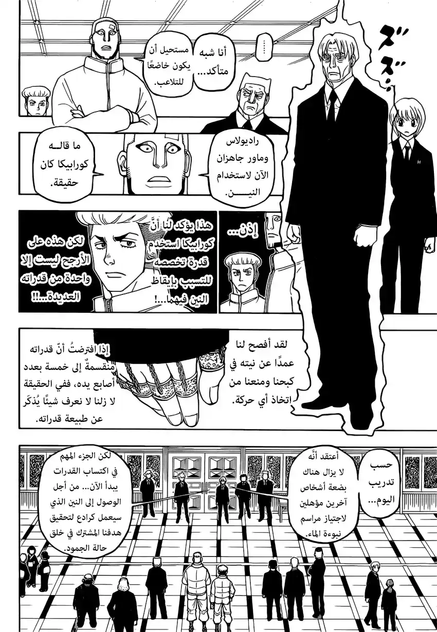 Hunter X Hunter 388 - تشاور página 10