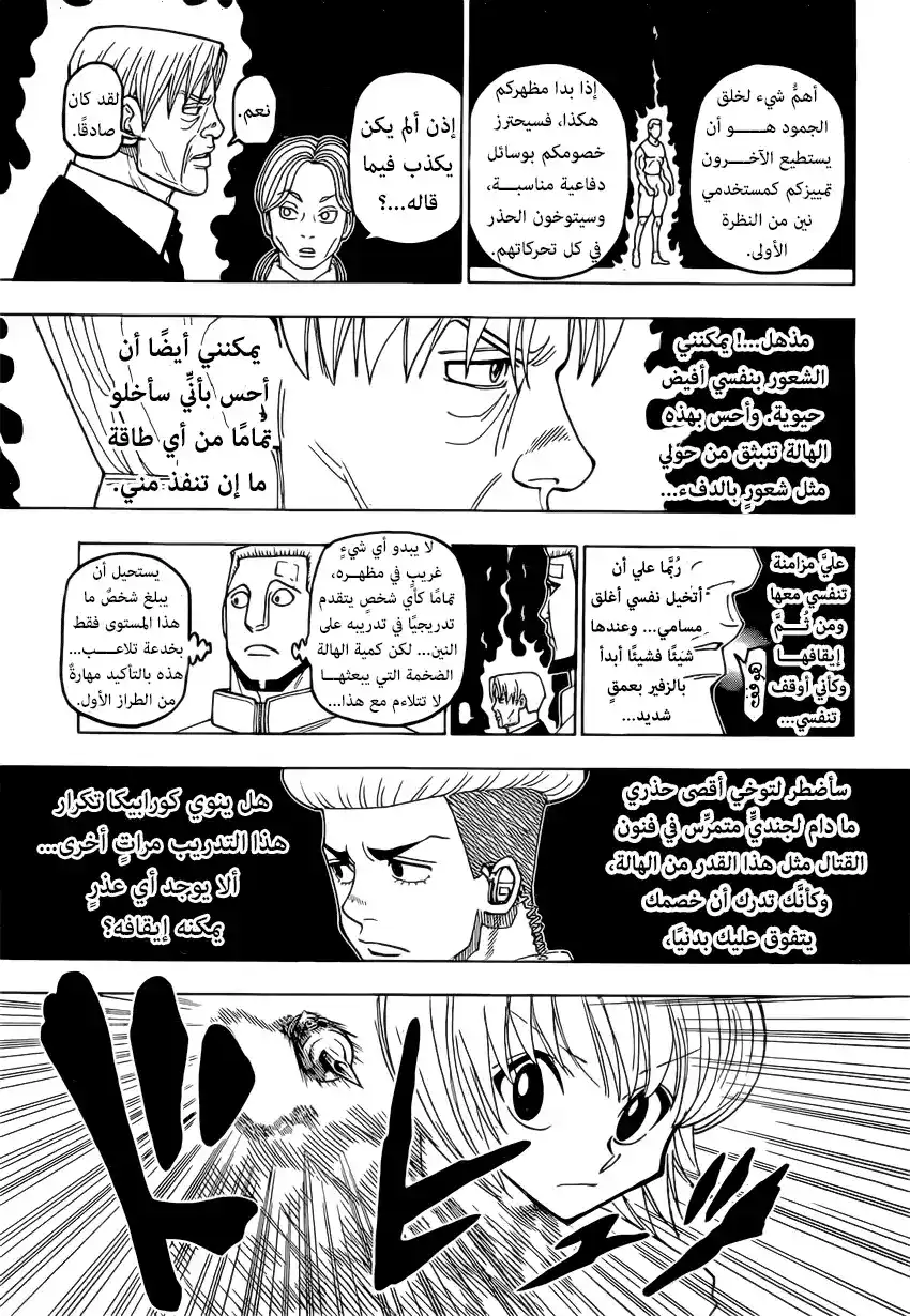 Hunter X Hunter 388 - تشاور página 11