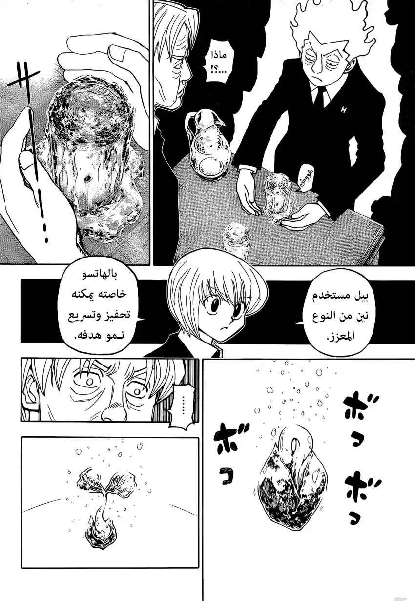 Hunter X Hunter 388 - تشاور página 8