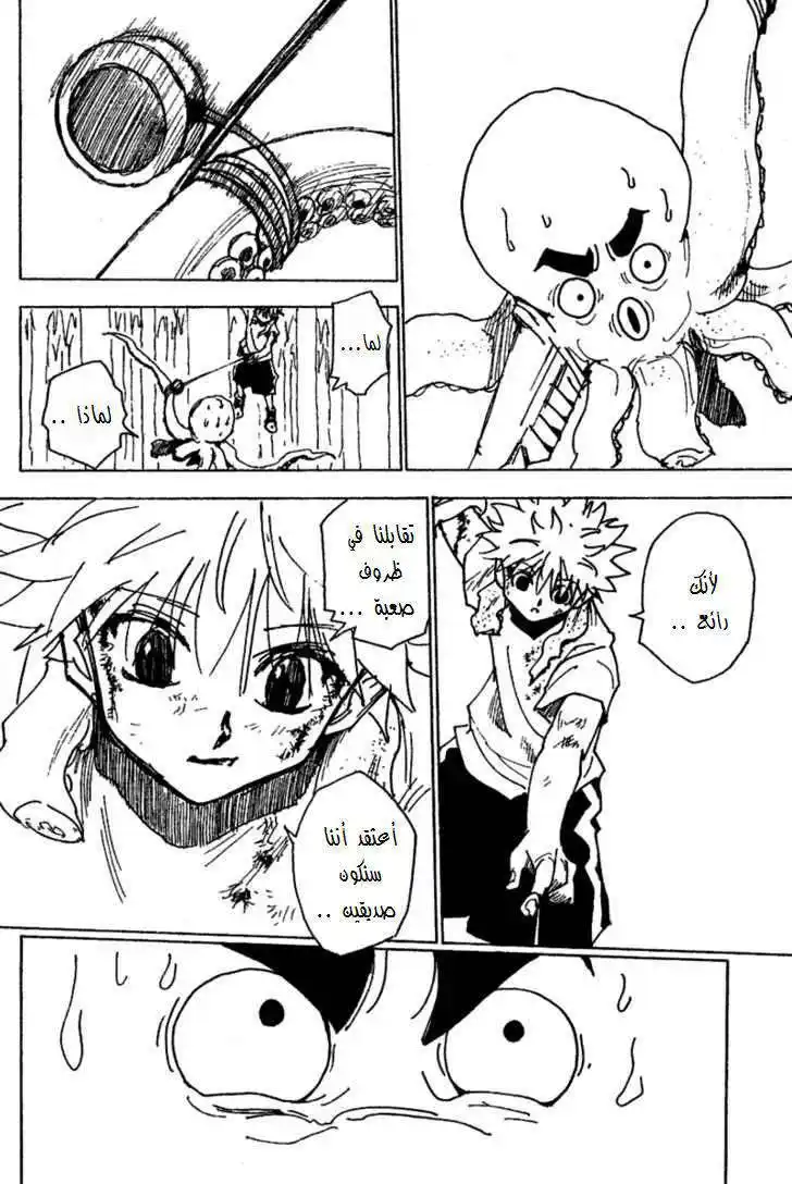 Hunter X Hunter 238 - 8:  Part 4 página 11
