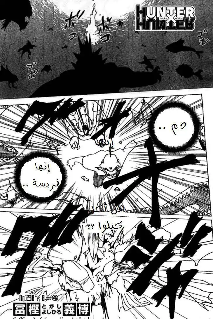 Hunter X Hunter 238 - 8:  Part 4 página 2