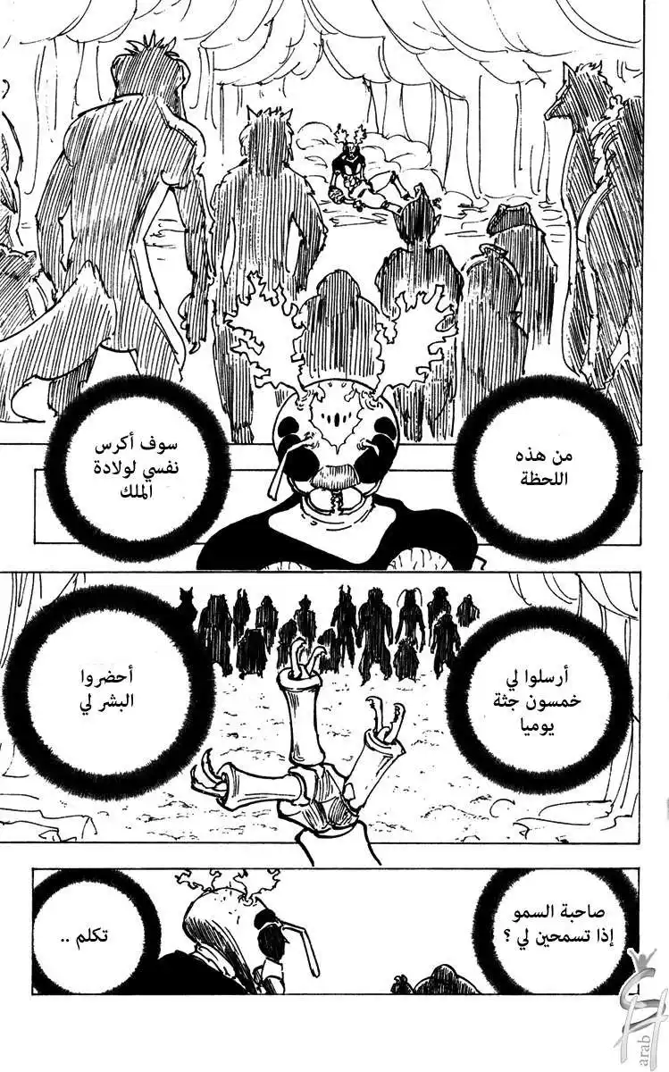 Hunter X Hunter 188 - NGL página 10