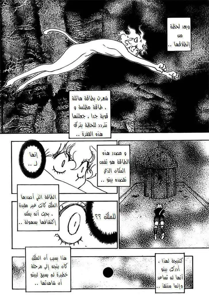 Hunter X Hunter 267 - Activate página 15