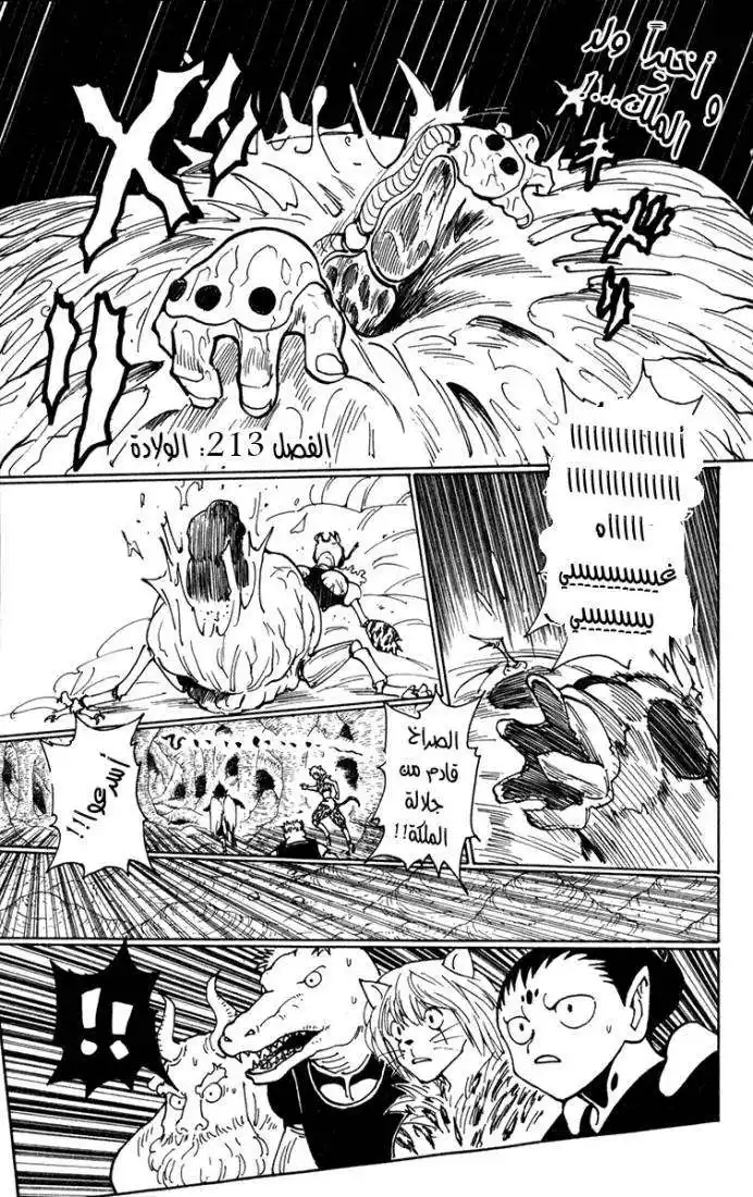 Hunter X Hunter 213 - Birth página 1