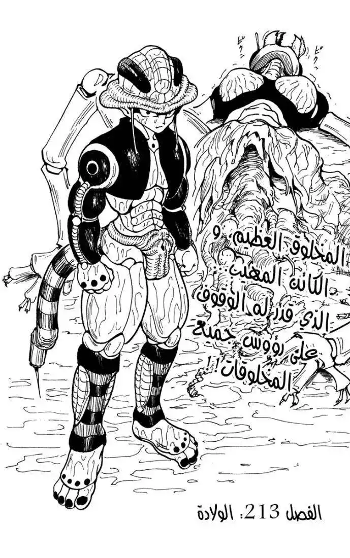 Hunter X Hunter 213 - Birth página 2
