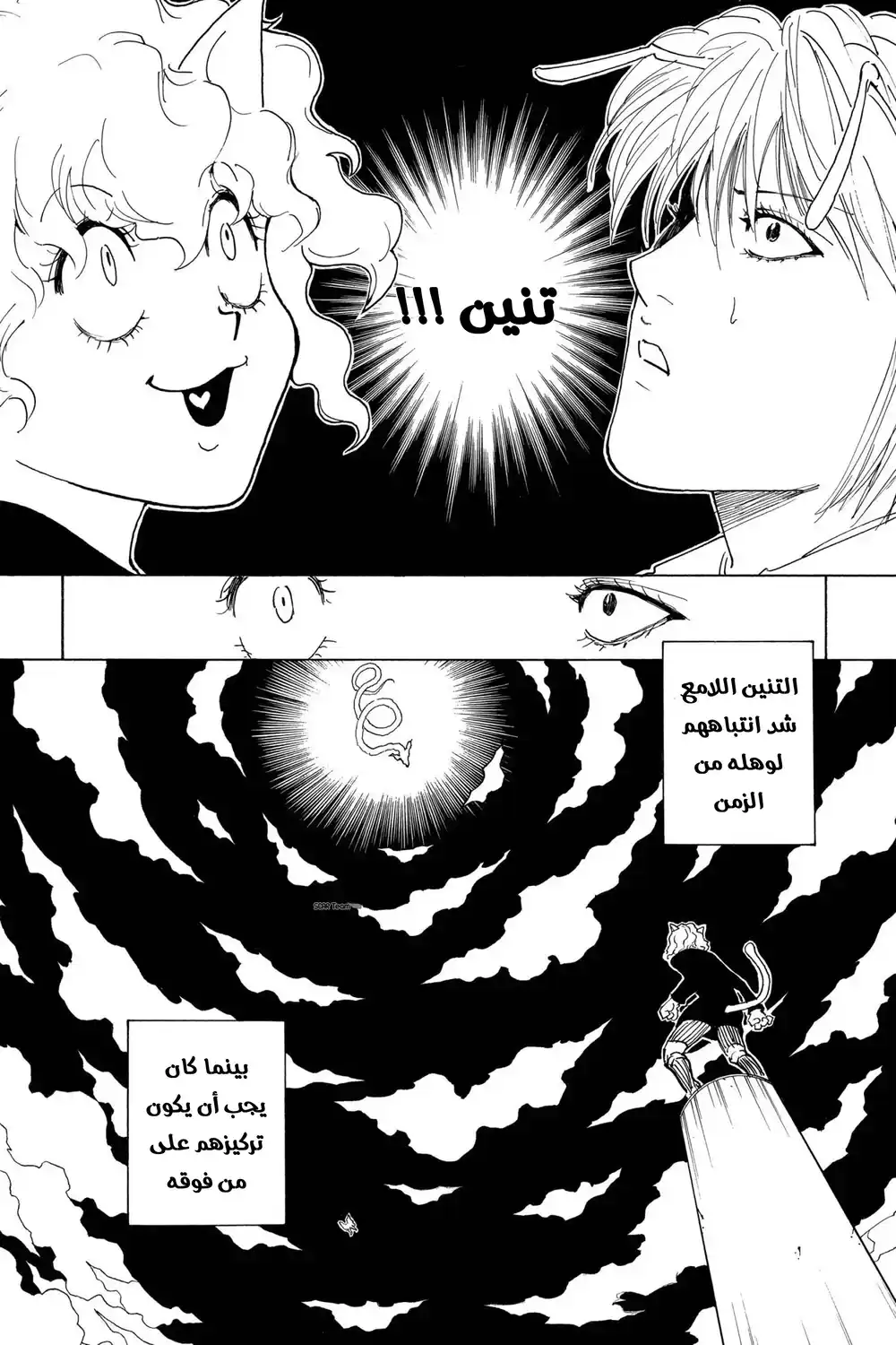 Hunter X Hunter 263 - Charge: Part 3 página 10