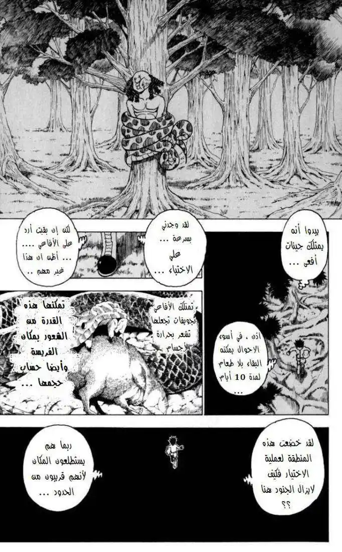 Hunter X Hunter 231 - 9: Part 2 página 14