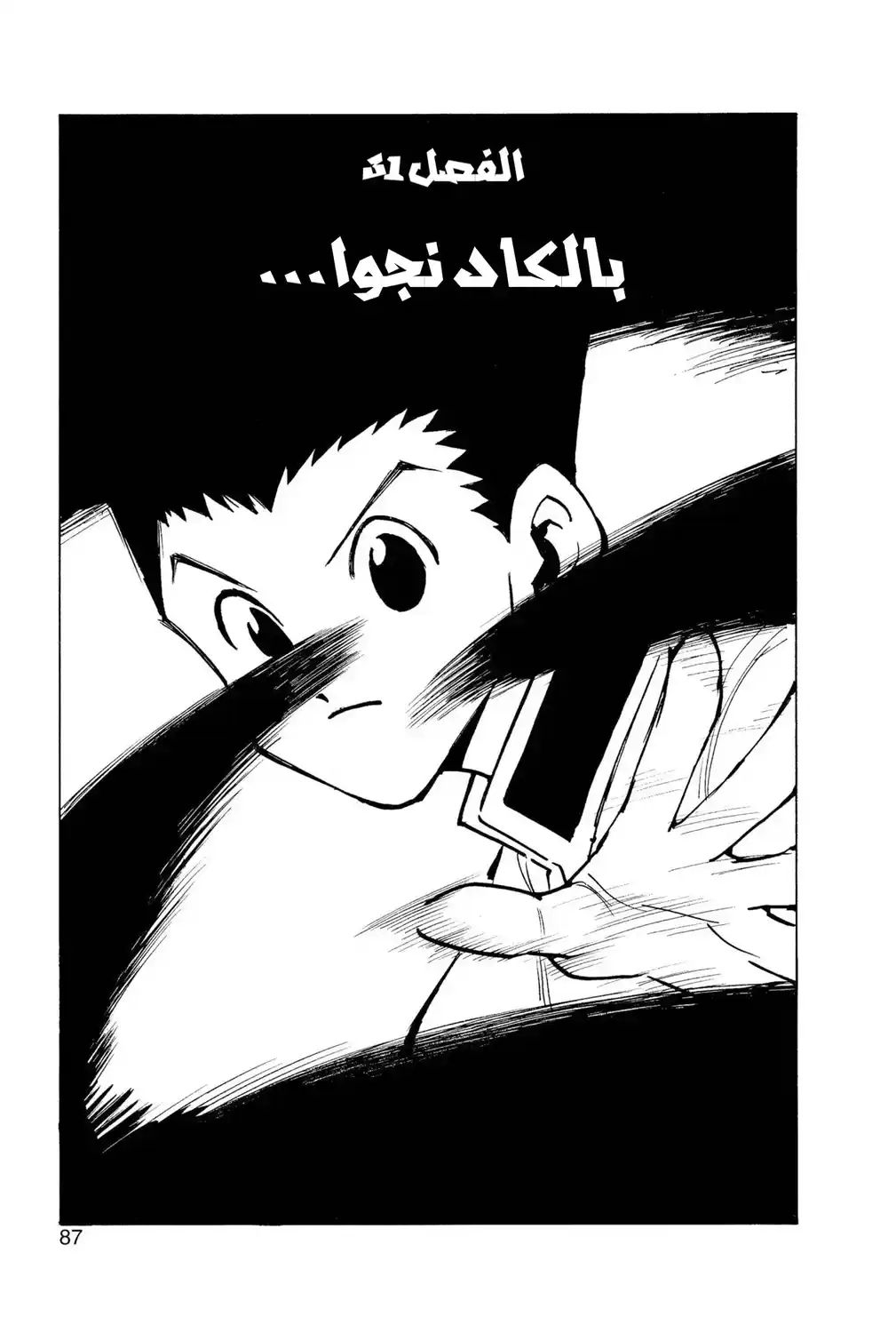 Hunter X Hunter 31 - نَجُوا بأعجوبة página 3