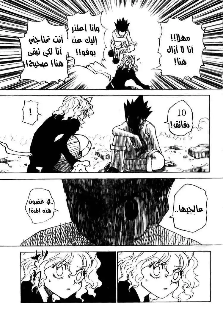 Hunter X Hunter 295 - Determination página 10