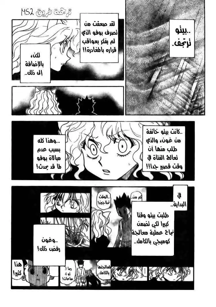 Hunter X Hunter 295 - Determination página 11