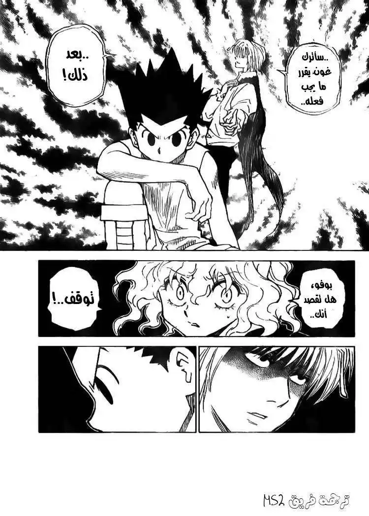 Hunter X Hunter 295 - Determination página 8