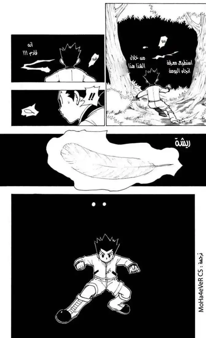 Hunter X Hunter 233 - 9: Part 4 página 5