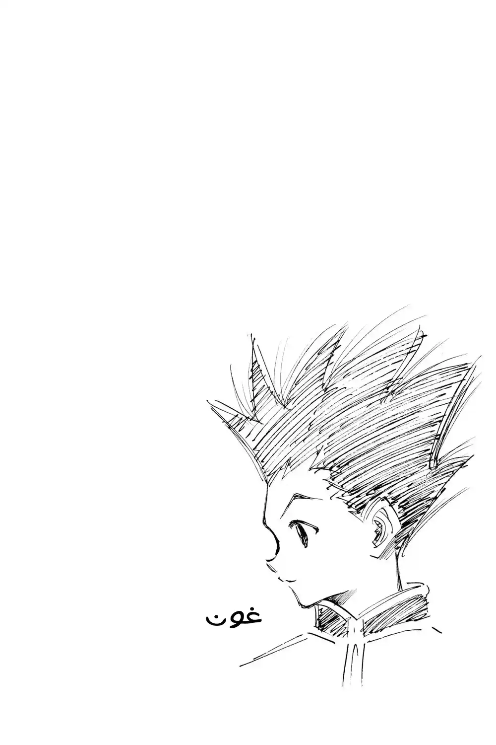Hunter X Hunter 2 - في قلب العاصفة página 2