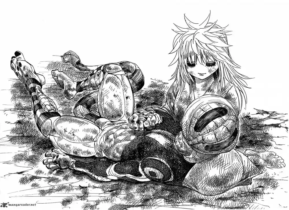 Hunter X Hunter 318 - Testament página 11