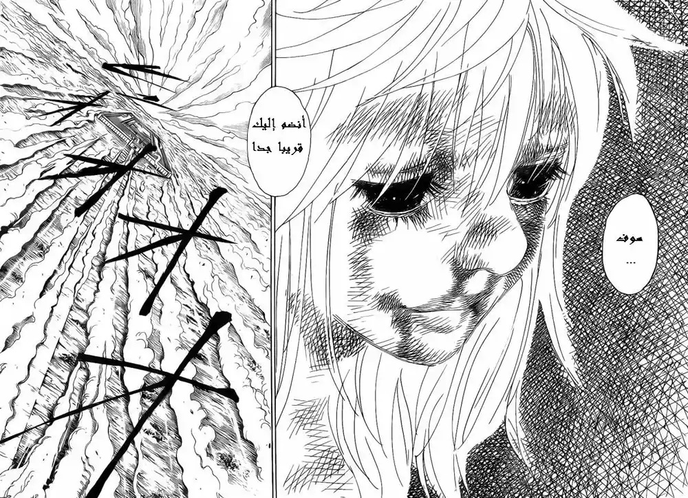 Hunter X Hunter 318 - Testament página 12
