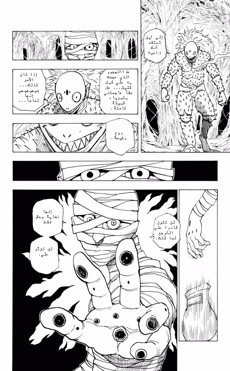 Hunter X Hunter 225 : 3-10 الجزء الثالث página 10