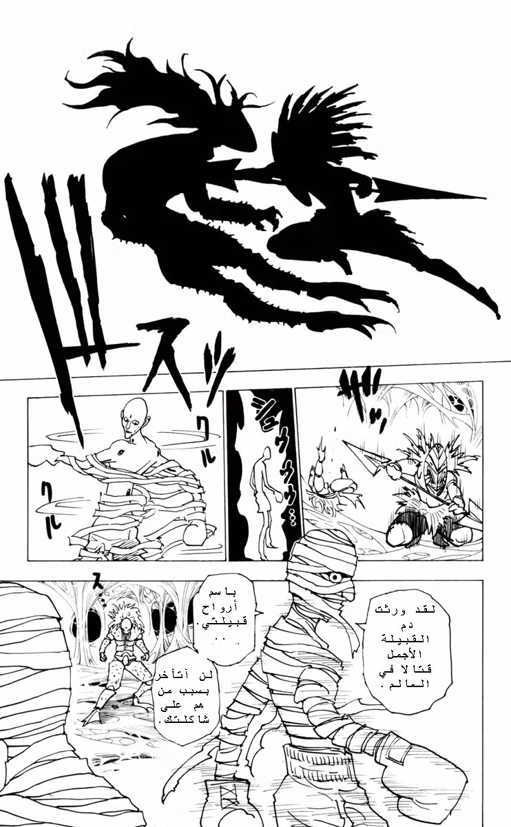 Hunter X Hunter 225 : 3-10 الجزء الثالث página 9