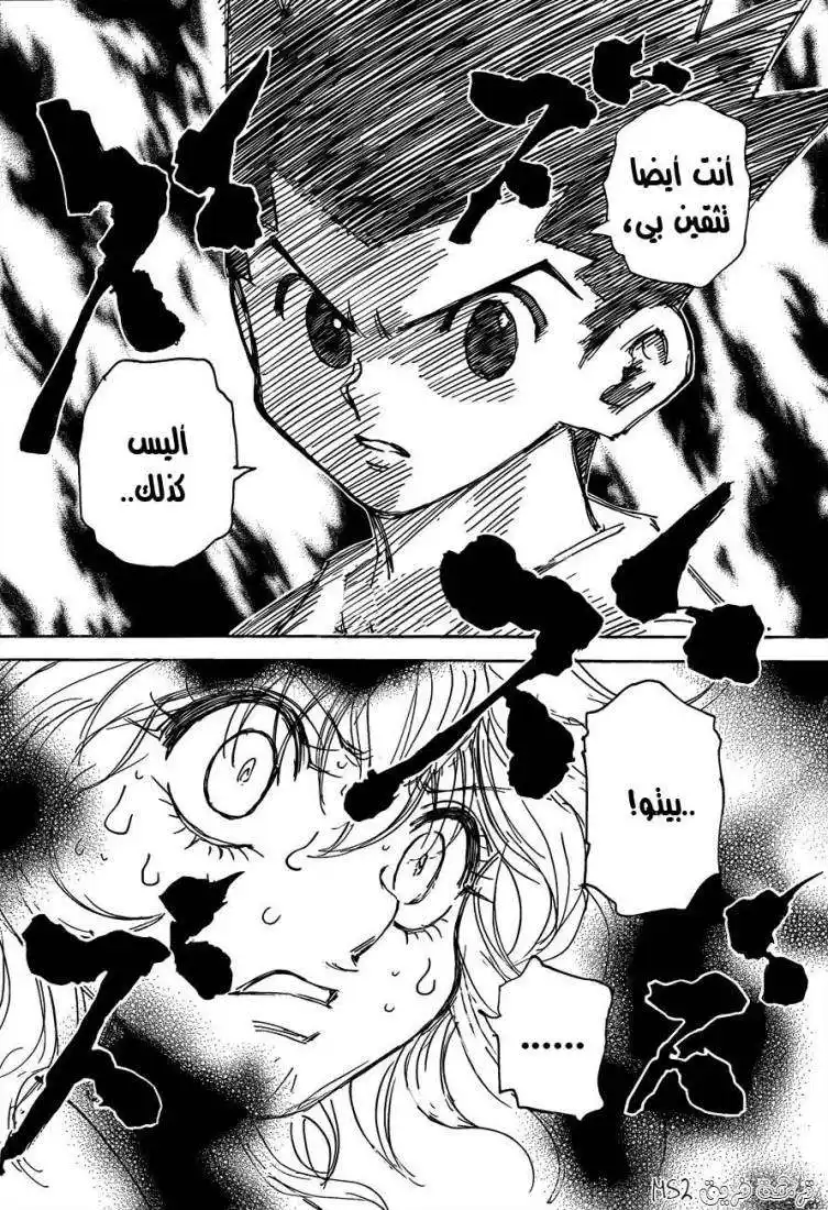 Hunter X Hunter 300 - Insurance página 16