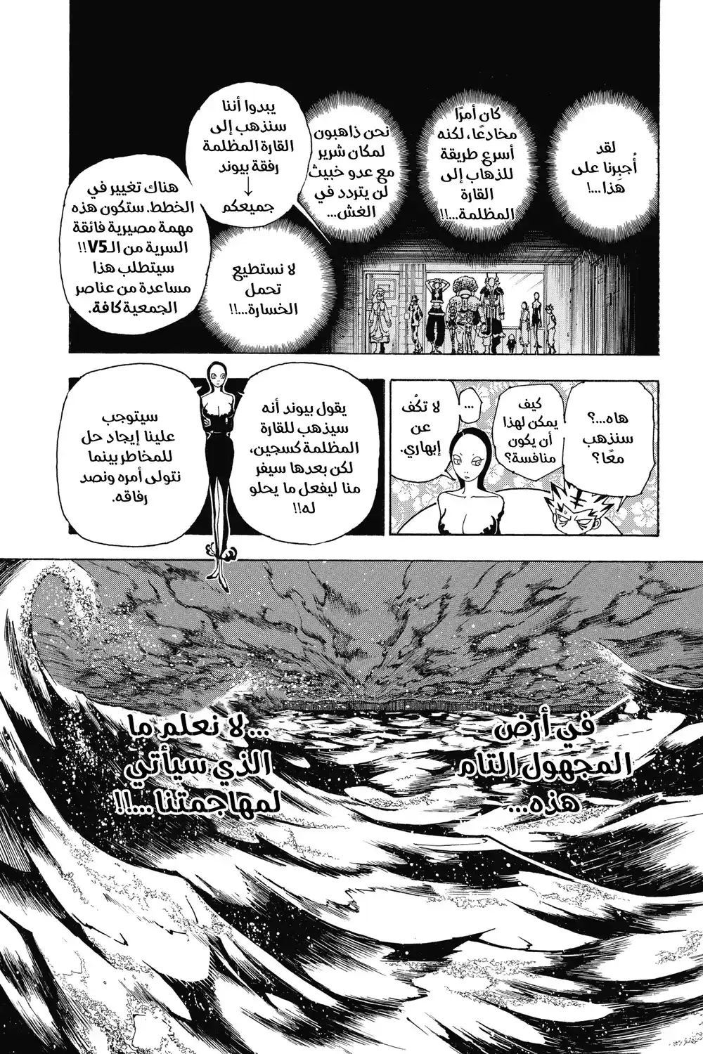 Hunter X Hunter 342 - مرسوم página 12