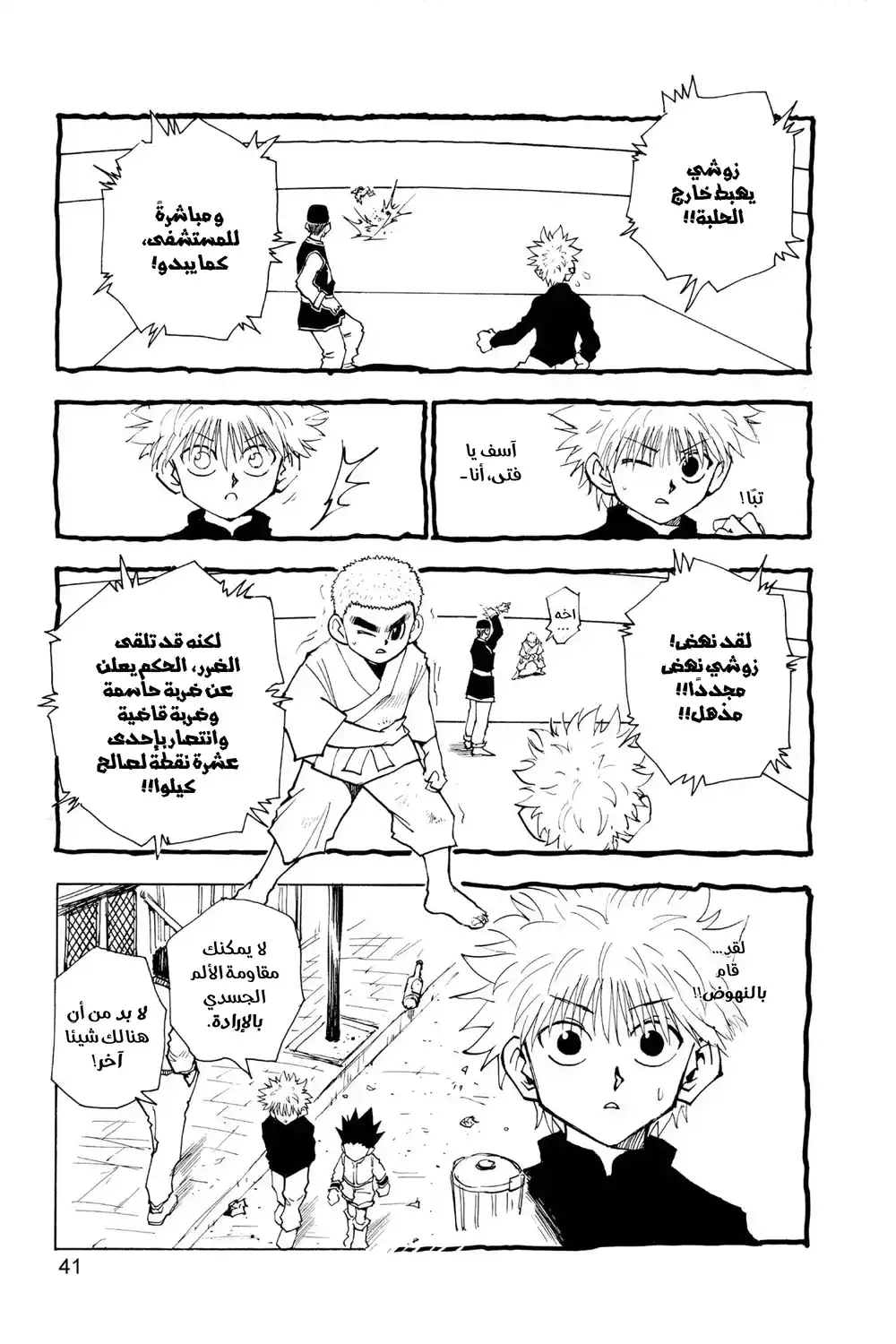 Hunter X Hunter 46 - نين página 17