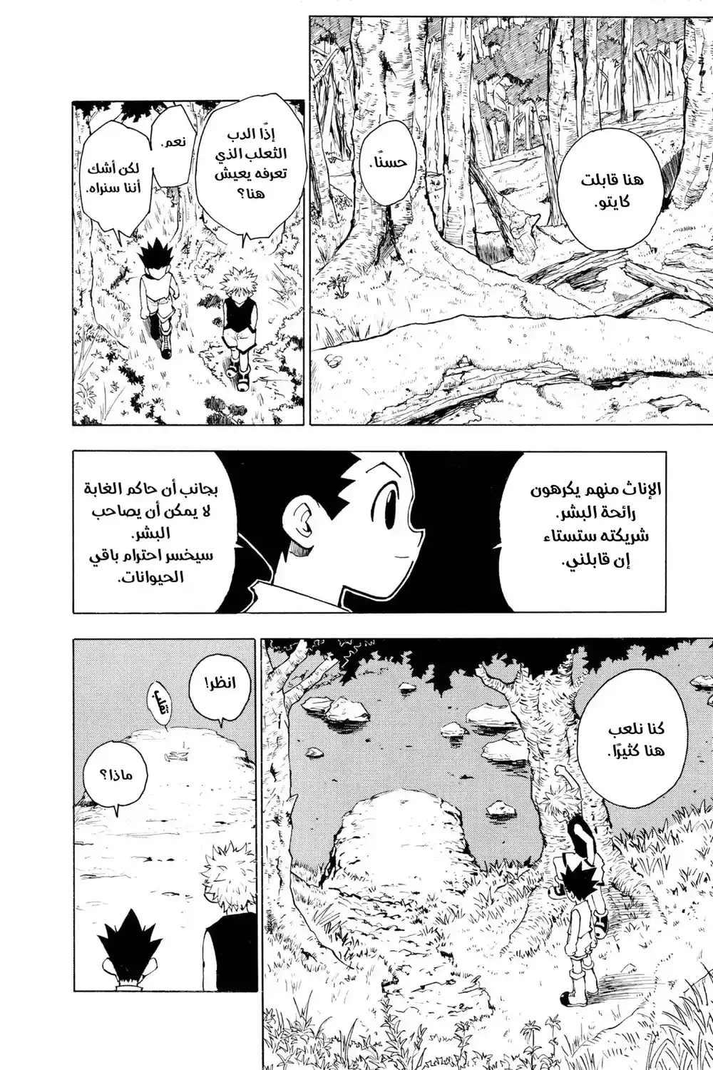 Hunter X Hunter 64 - عودة إلى الديار página 12