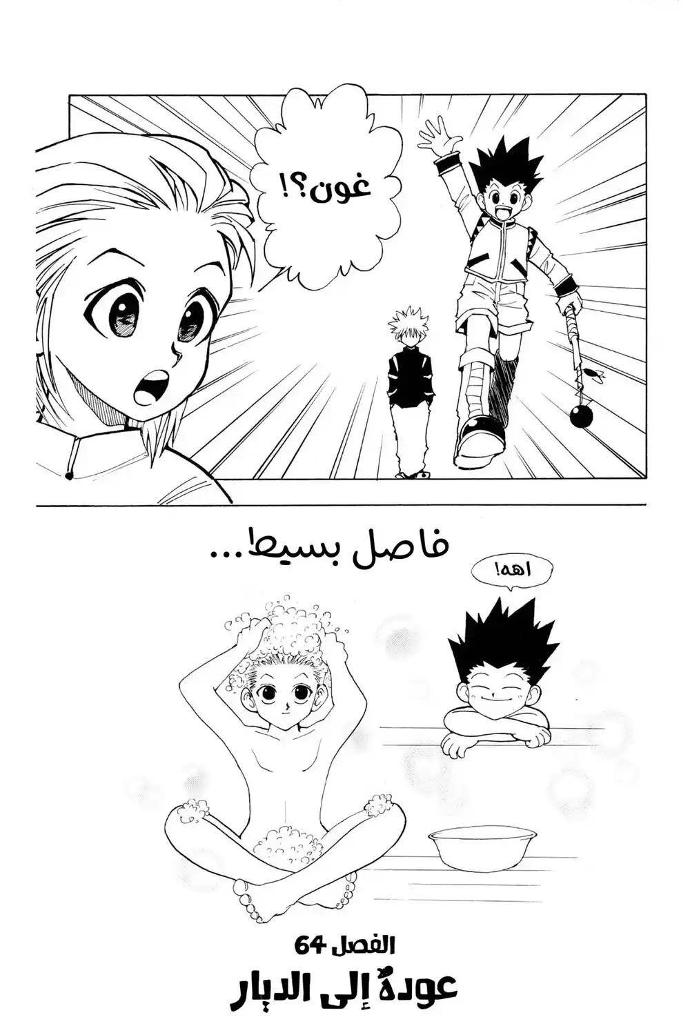 Hunter X Hunter 64 - عودة إلى الديار página 8