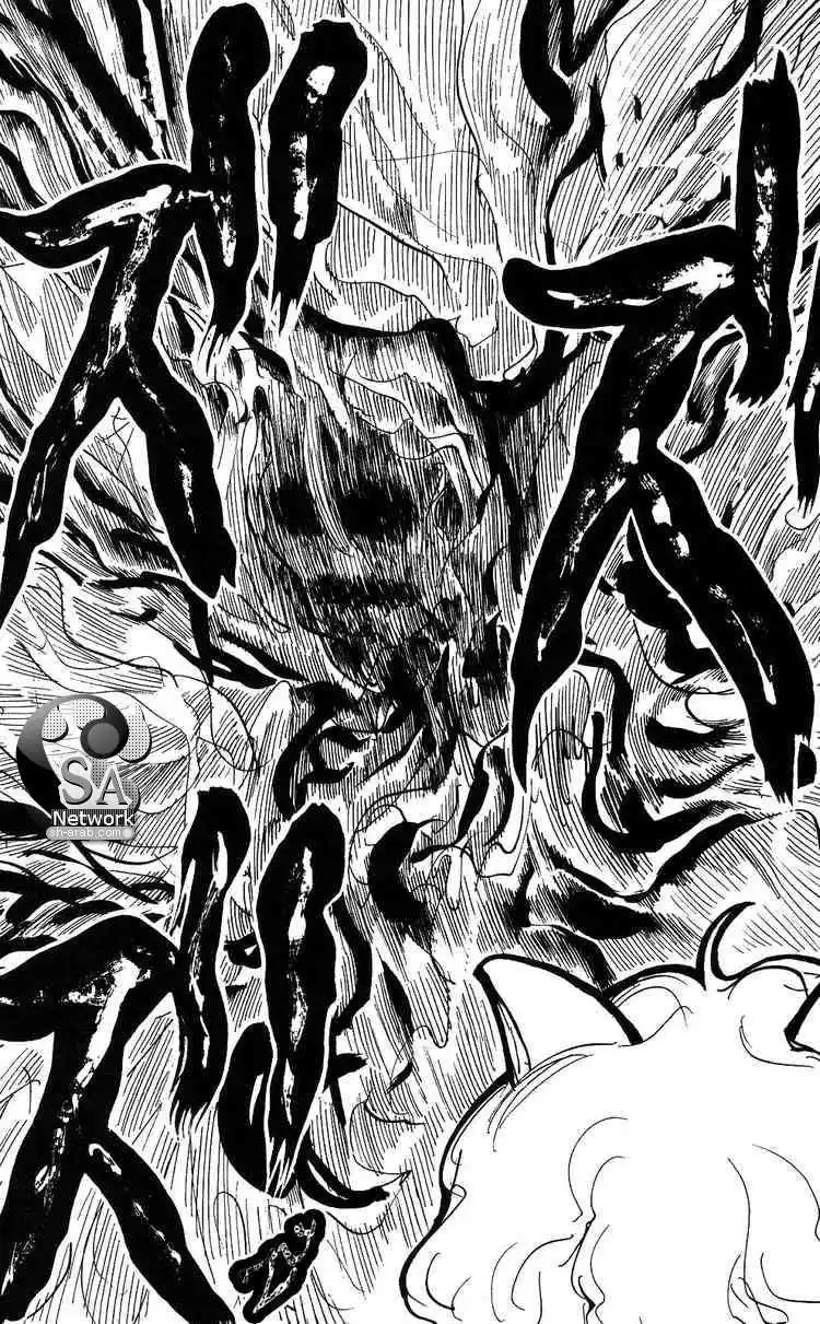 Hunter X Hunter 200 - The Condition página 13