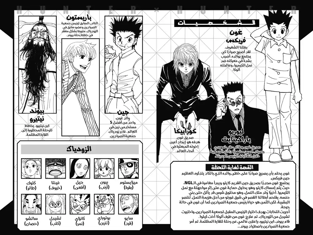 Hunter X Hunter 341 - َ!مصيبة página 5