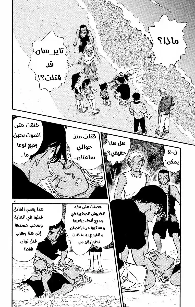 Detective Conan 362 - المنتصر الخطير página 2