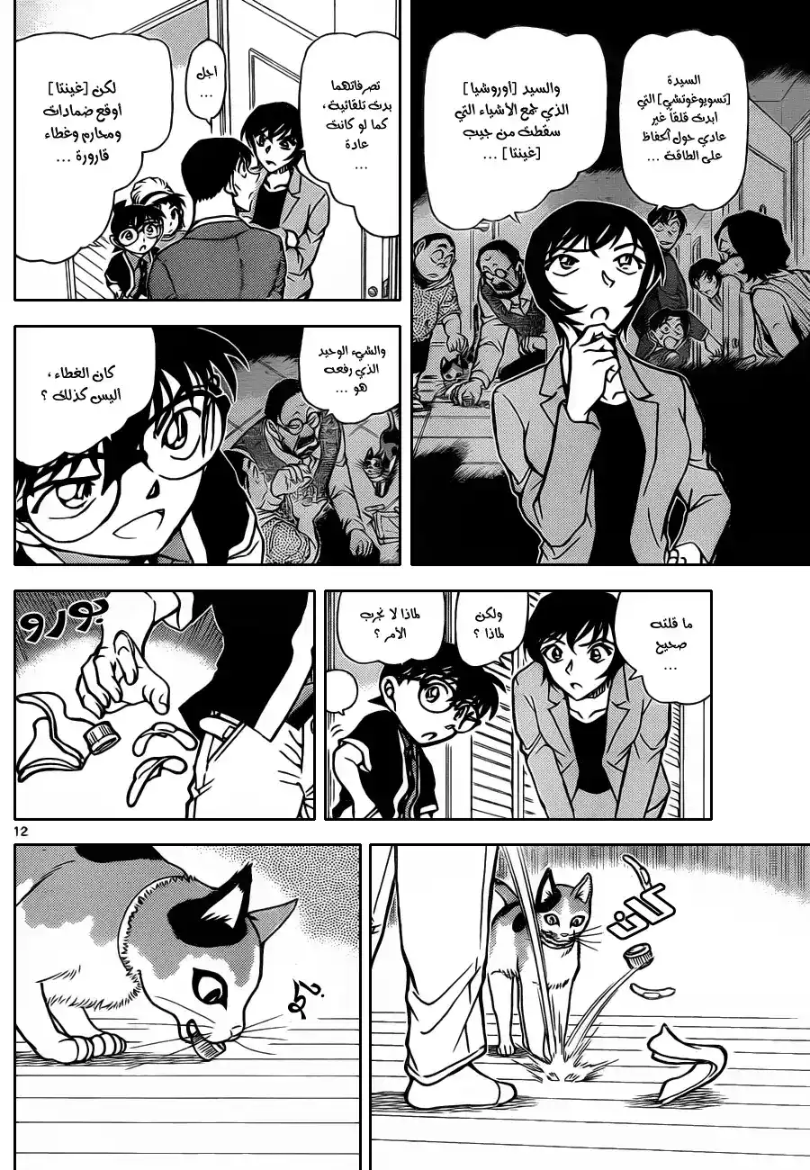 Detective Conan 868 - قط محظوظ página 13