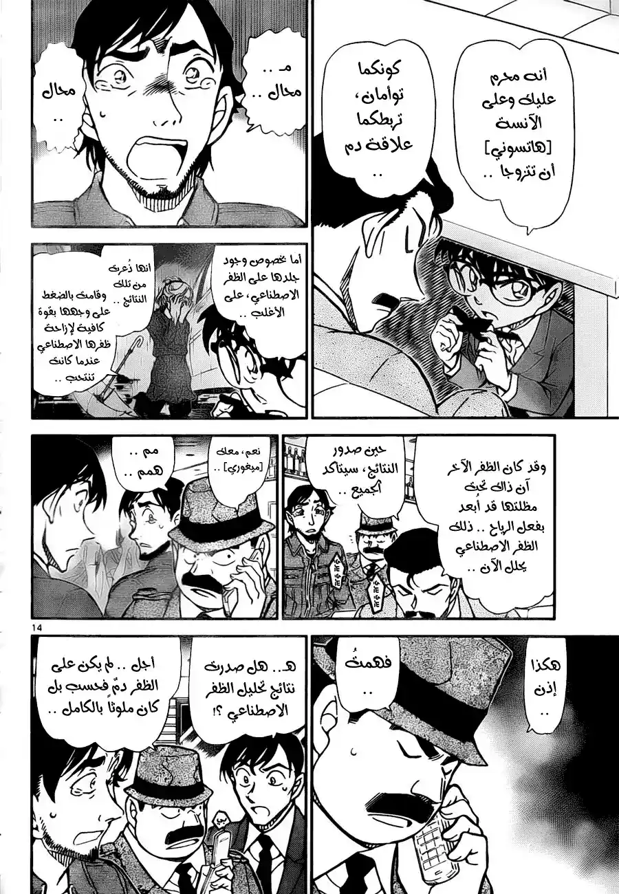 Detective Conan 795 - Destined to Re-Enter the Flames página 15