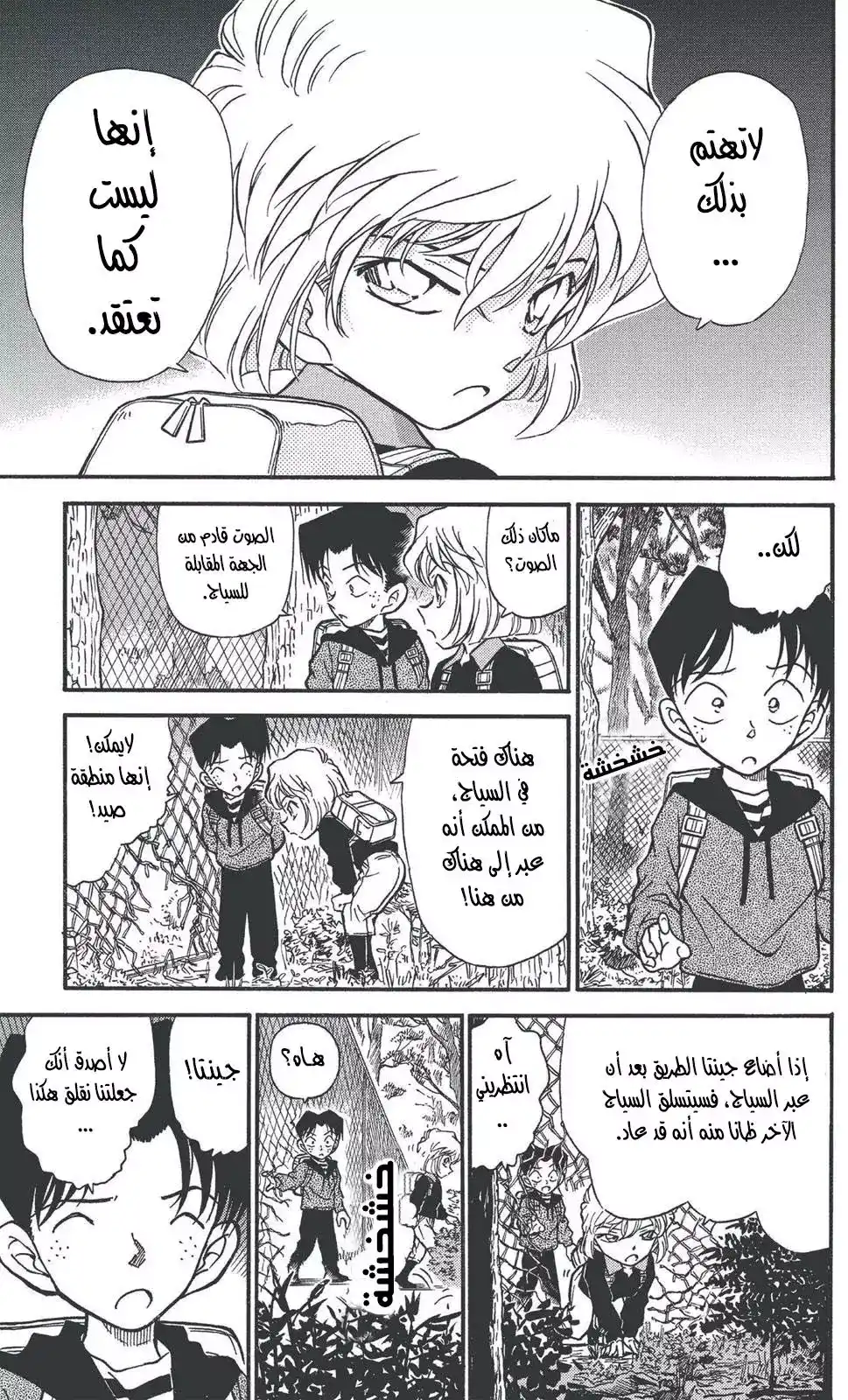 Detective Conan 273 - أعداء على القارب نفسه página 11