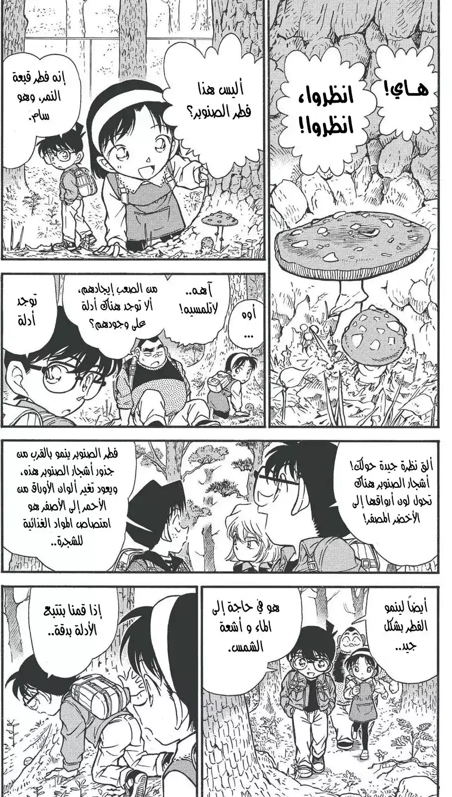 Detective Conan 273 - أعداء على القارب نفسه página 5