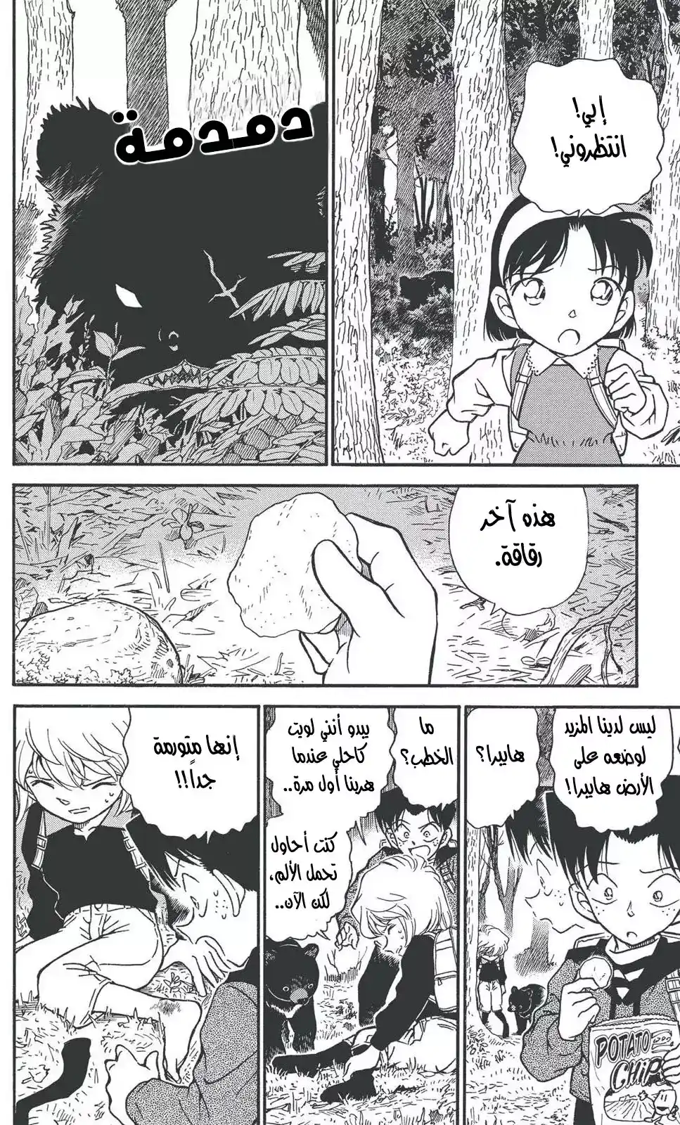 Detective Conan 274 - الهدف الصغير página 10