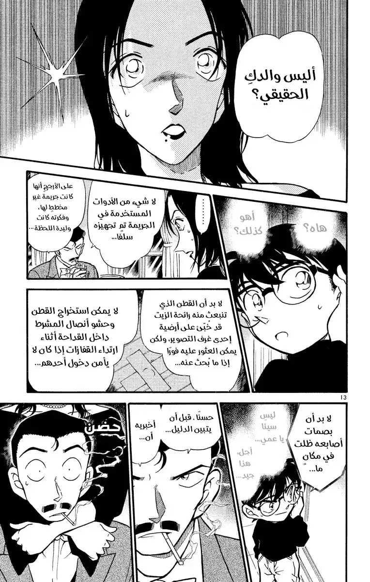 Detective Conan 376 - اختيار كوغورو (3) página 14