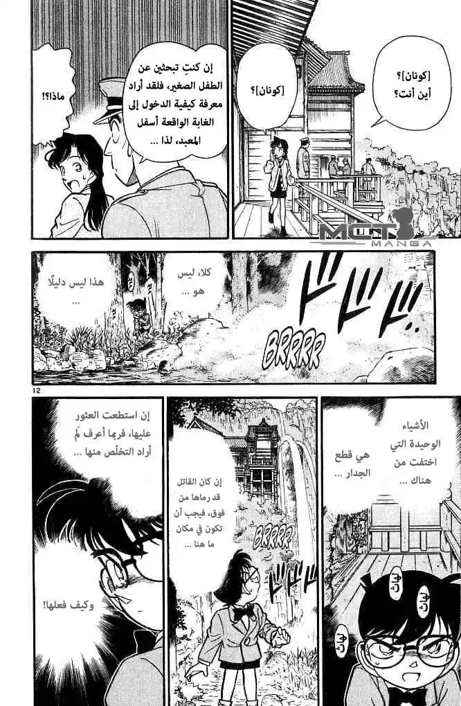 Detective Conan 109 - زهور الساكورا و الفجوة في الجدار página 13