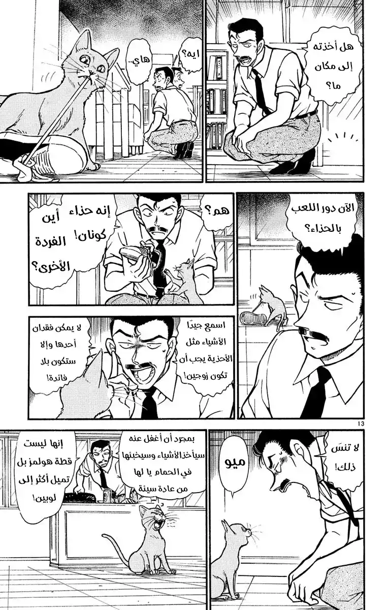 Detective Conan 528 - الأزرق الروسي página 13