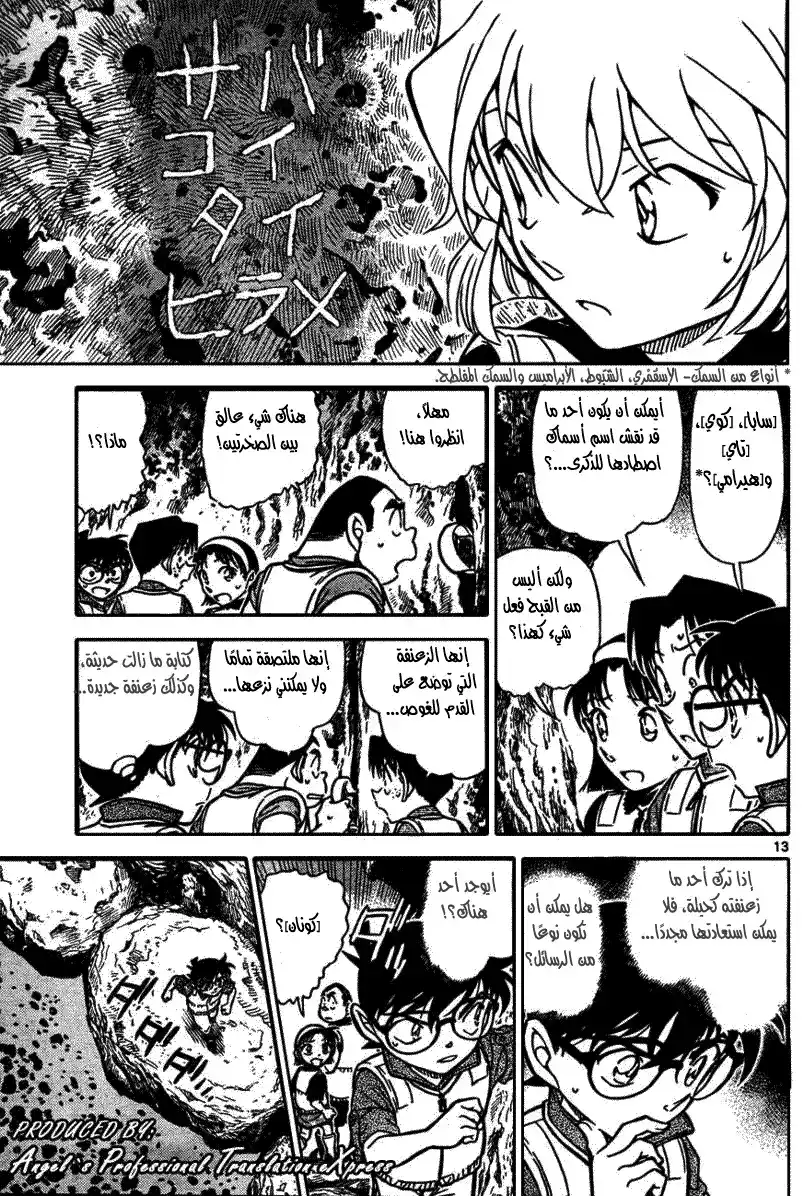 Detective Conan 664 - صخرة إيكاكو página 13