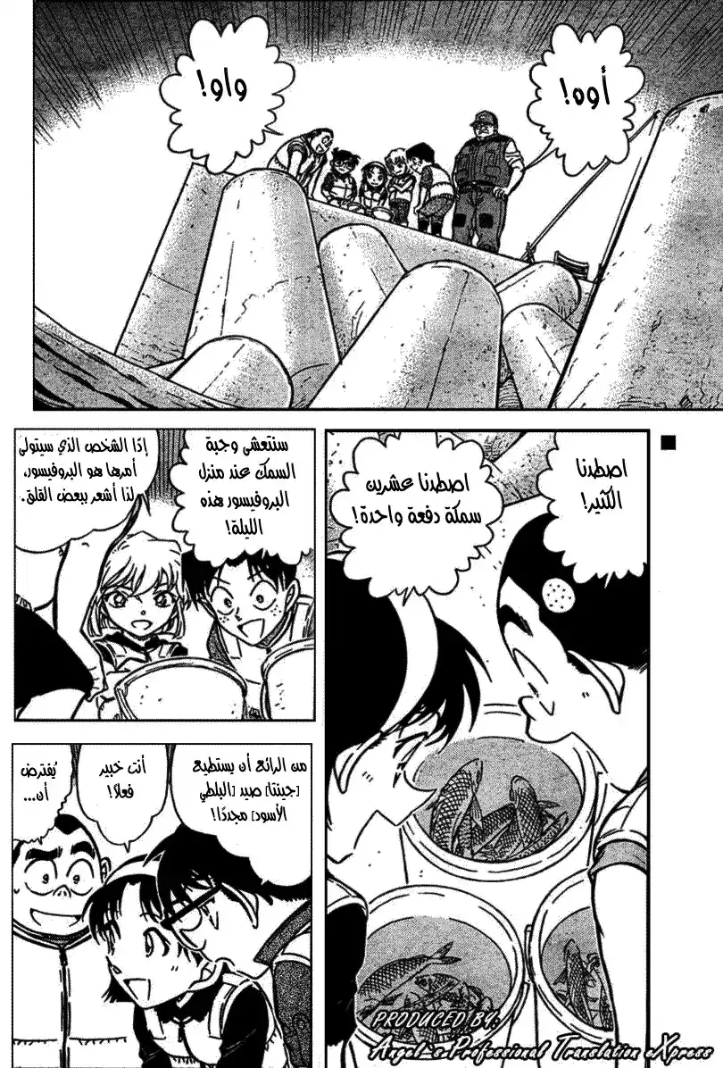 Detective Conan 664 - صخرة إيكاكو página 2
