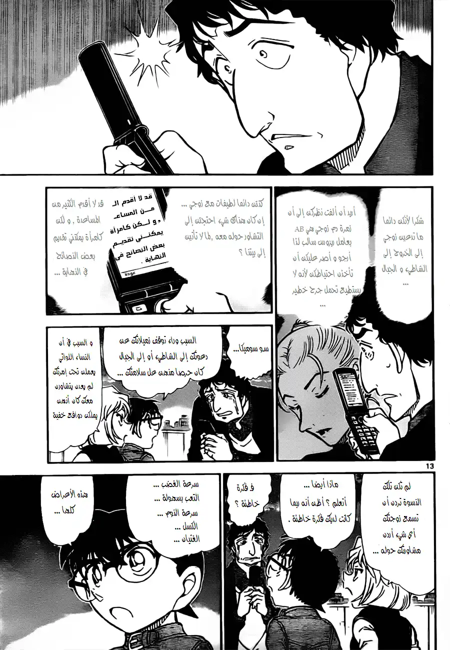 Detective Conan 803 - A Misconstrued Conclusion página 13