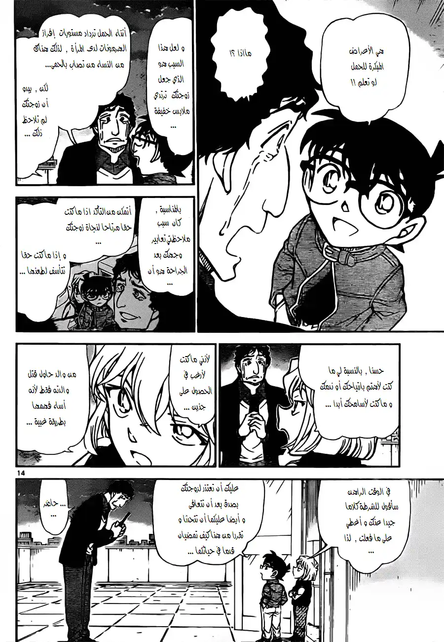 Detective Conan 803 - A Misconstrued Conclusion página 14