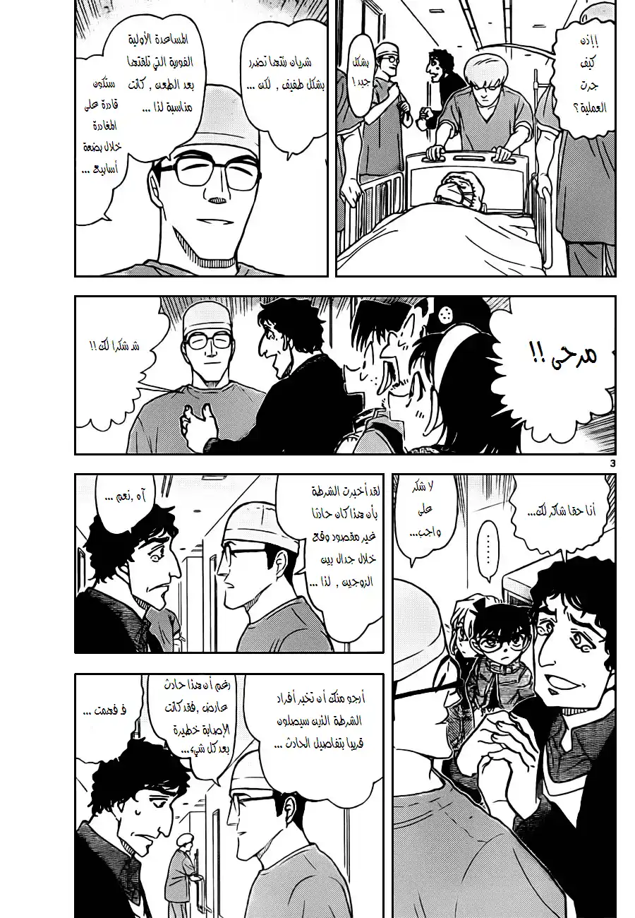 Detective Conan 803 - A Misconstrued Conclusion página 3