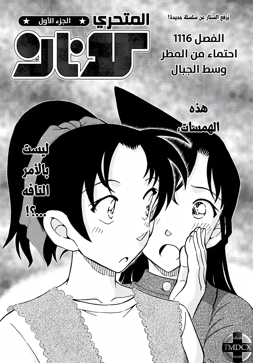 Detective Conan 1116 - احتماء من المطر وسط الجبال página 2