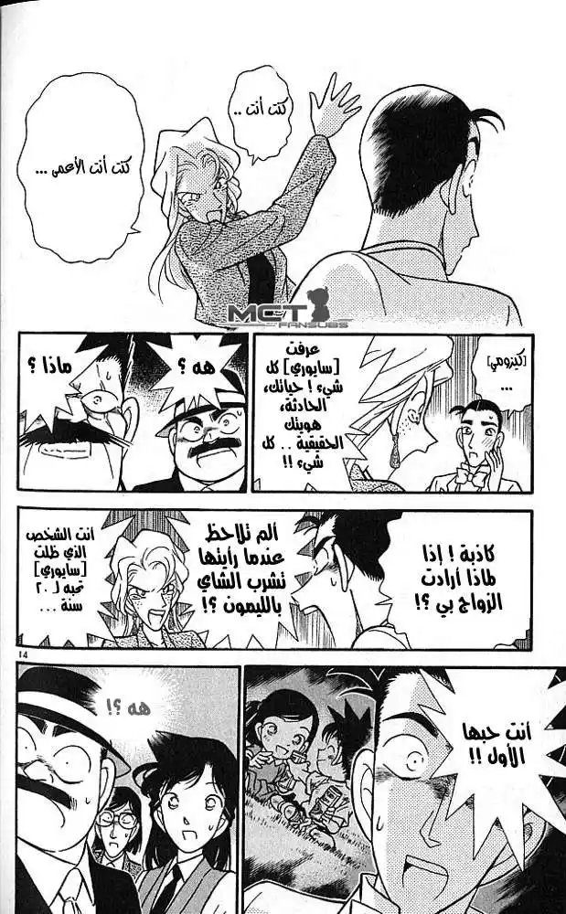 Detective Conan 80 - A Reason for Killing página 14