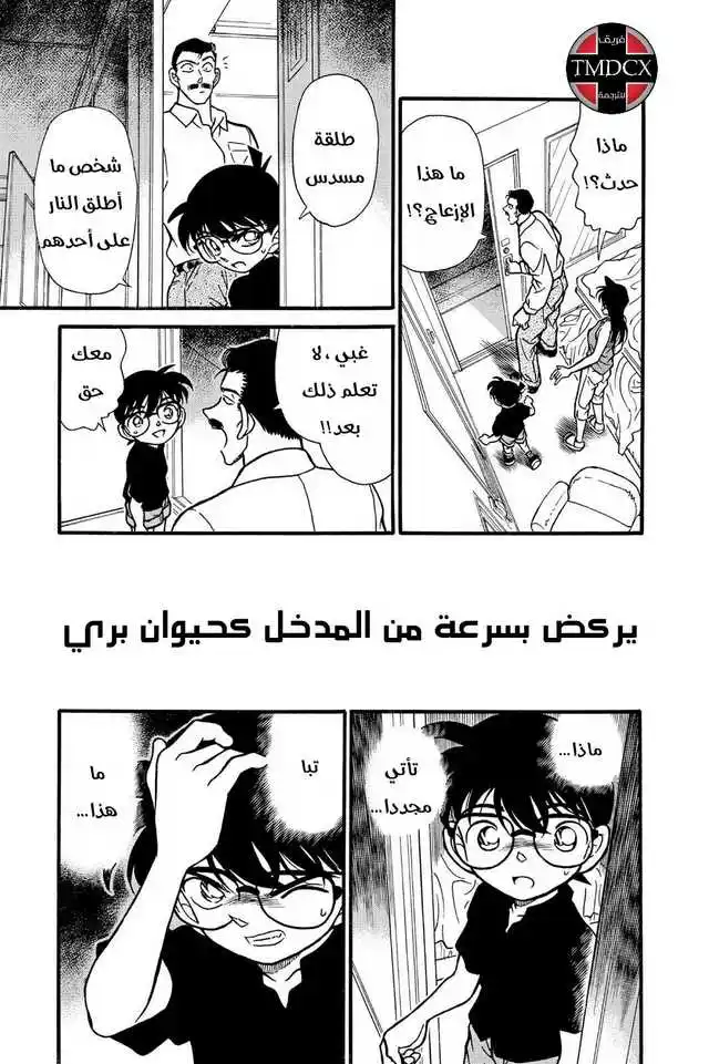 Detective Conan 215 - قطار الشمال página 16