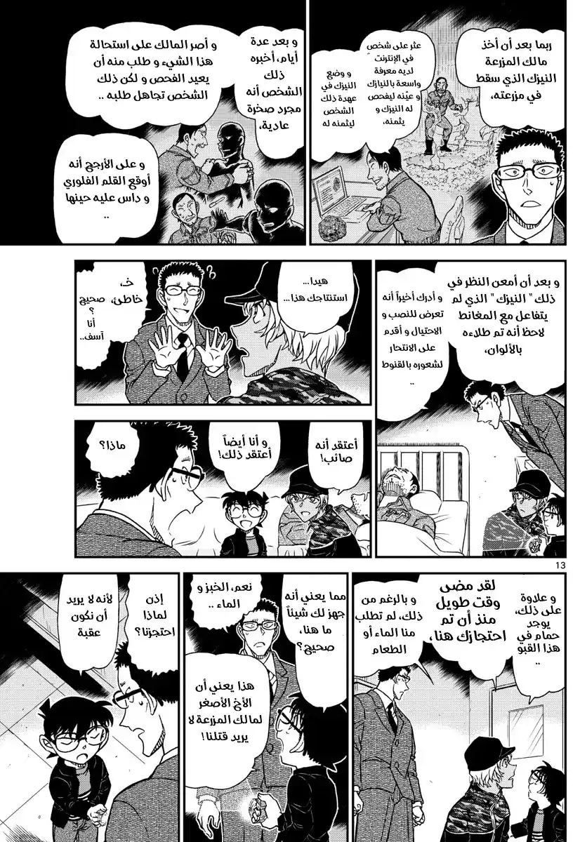 Detective Conan 1053 - ضوء página 14