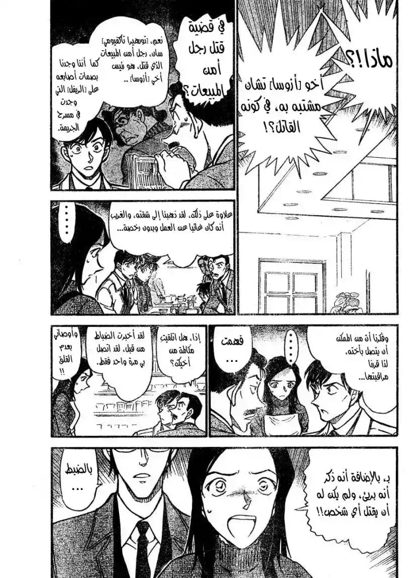 Detective Conan 641 - تدمير página 5