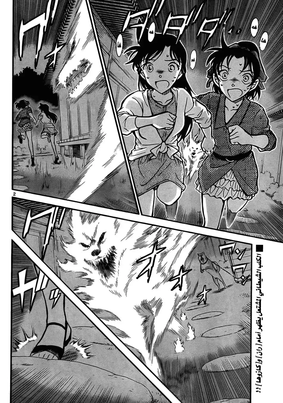 Detective Conan 738 - Footprints página 2