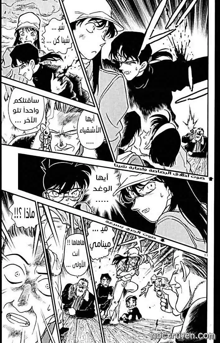 Detective Conan 146 - ثنائي !! página 11