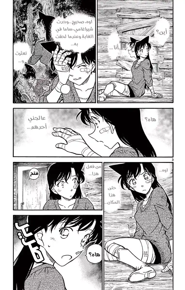 Detective Conan 650 - دموع لا نهائية página 4
